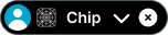 Chip variant example image