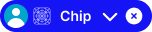 Chip variant example image