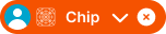 Chip variant example image