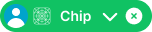 Chip variant example image