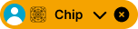 Chip variant example image