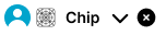 Chip variant example image