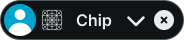 Chip variant example image
