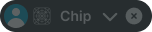 Chip variant example image