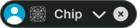 Chip variant example image