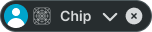 Chip variant example image