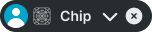 Chip variant example image