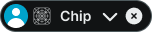 Chip variant example image