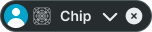 Chip variant example image