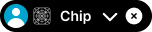 Chip variant example image