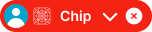 Chip variant example image