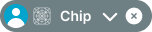 Chip variant example image