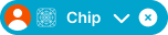Chip variant example image