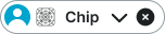Chip example image
