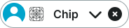 Chip variant example image