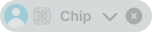 Chip variant example image