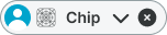 Chip variant example image
