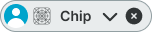 Chip variant example image