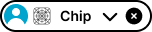 Chip variant example image