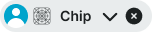 Chip variant example image