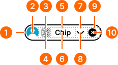 Chip example image