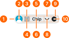 Chip example image