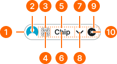 Chip example image